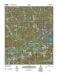 Holcomb Mississippi Historical topographic map, 1:24000 scale, 7.5 X 7.5 Minute, Year 2012