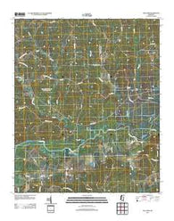 Holcomb Mississippi Historical topographic map, 1:24000 scale, 7.5 X 7.5 Minute, Year 2012