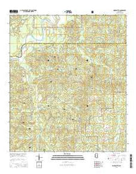 Homochitto Mississippi Current topographic map, 1:24000 scale, 7.5 X 7.5 Minute, Year 2015