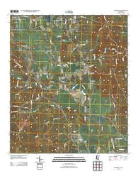 Hopewell Mississippi Historical topographic map, 1:24000 scale, 7.5 X 7.5 Minute, Year 2012
