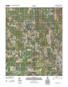 Houston West Mississippi Historical topographic map, 1:24000 scale, 7.5 X 7.5 Minute, Year 2012