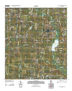 Lake Tangipahoa Mississippi Historical topographic map, 1:24000 scale, 7.5 X 7.5 Minute, Year 2012