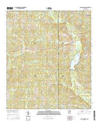 Lake Tangipahoa Mississippi Current topographic map, 1:24000 scale, 7.5 X 7.5 Minute, Year 2015