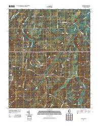 Lamar Mississippi Historical topographic map, 1:24000 scale, 7.5 X 7.5 Minute, Year 2010
