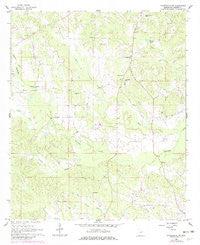Lauderdale NW Mississippi Historical topographic map, 1:24000 scale, 7.5 X 7.5 Minute, Year 1962