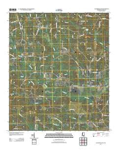 Lauderdale NW Mississippi Historical topographic map, 1:24000 scale, 7.5 X 7.5 Minute, Year 2012