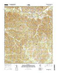 Lexington South Mississippi Current topographic map, 1:24000 scale, 7.5 X 7.5 Minute, Year 2015