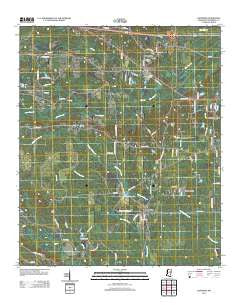 Longview Mississippi Historical topographic map, 1:24000 scale, 7.5 X 7.5 Minute, Year 2012