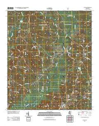 Louin Mississippi Historical topographic map, 1:24000 scale, 7.5 X 7.5 Minute, Year 2012