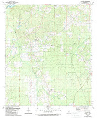 Ludlow Mississippi Historical topographic map, 1:24000 scale, 7.5 X 7.5 Minute, Year 1989