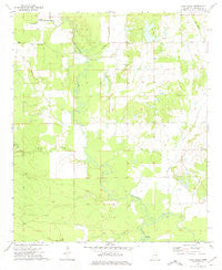 Lynn Creek Mississippi Historical topographic map, 1:24000 scale, 7.5 X 7.5 Minute, Year 1973