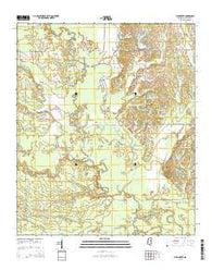 Lynn Creek Mississippi Current topographic map, 1:24000 scale, 7.5 X 7.5 Minute, Year 2015