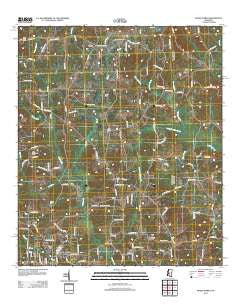 Magee North Mississippi Historical topographic map, 1:24000 scale, 7.5 X 7.5 Minute, Year 2012
