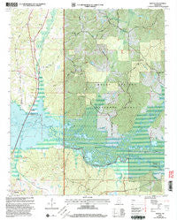 Malone Mississippi Historical topographic map, 1:24000 scale, 7.5 X 7.5 Minute, Year 2000