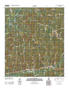 McCall Creek Mississippi Historical topographic map, 1:24000 scale, 7.5 X 7.5 Minute, Year 2012