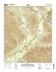 Mendenhall West Mississippi Current topographic map, 1:24000 scale, 7.5 X 7.5 Minute, Year 2015