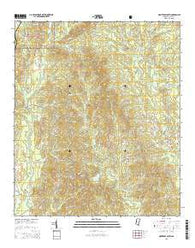 Montrose South Mississippi Current topographic map, 1:24000 scale, 7.5 X 7.5 Minute, Year 2015