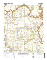 Mound Bayou Mississippi Current topographic map, 1:24000 scale, 7.5 X 7.5 Minute, Year 2015