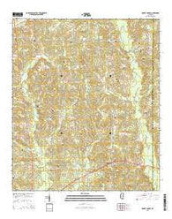 Mount Carmel Mississippi Current topographic map, 1:24000 scale, 7.5 X 7.5 Minute, Year 2015