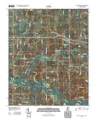 Mount Pleasant Mississippi Historical topographic map, 1:24000 scale, 7.5 X 7.5 Minute, Year 2010