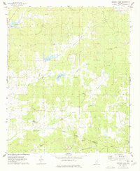 Murdock Lake Mississippi Historical topographic map, 1:24000 scale, 7.5 X 7.5 Minute, Year 1975