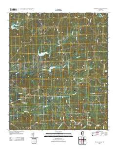 Murdock Lake Mississippi Historical topographic map, 1:24000 scale, 7.5 X 7.5 Minute, Year 2012
