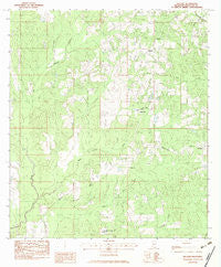 Necaise Mississippi Historical topographic map, 1:24000 scale, 7.5 X 7.5 Minute, Year 1982