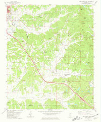 New Albany East Mississippi Historical topographic map, 1:24000 scale, 7.5 X 7.5 Minute, Year 1980