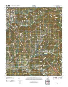 New Albany East Mississippi Historical topographic map, 1:24000 scale, 7.5 X 7.5 Minute, Year 2012