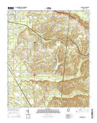 New Hope Mississippi Current topographic map, 1:24000 scale, 7.5 X 7.5 Minute, Year 2015