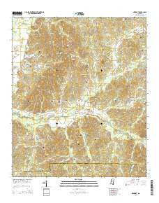 Newport Mississippi Current topographic map, 1:24000 scale, 7.5 X 7.5 Minute, Year 2015