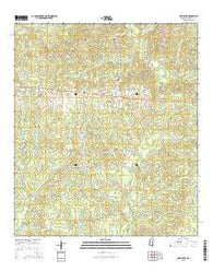 Newtonia Mississippi Current topographic map, 1:24000 scale, 7.5 X 7.5 Minute, Year 2015