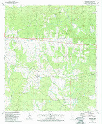 Newtonia Mississippi Historical topographic map, 1:24000 scale, 7.5 X 7.5 Minute, Year 1988