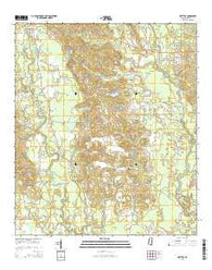 Ovett SE Mississippi Current topographic map, 1:24000 scale, 7.5 X 7.5 Minute, Year 2015