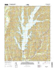 Paden SE Mississippi Current topographic map, 1:24000 scale, 7.5 X 7.5 Minute, Year 2015