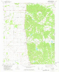 Paynes Mississippi Historical topographic map, 1:24000 scale, 7.5 X 7.5 Minute, Year 1981