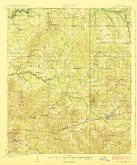 Pelahatchee Mississippi Historical topographic map, 1:62500 scale, 15 X 15 Minute, Year 1924