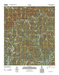 Pinckneyville Mississippi Historical topographic map, 1:24000 scale, 7.5 X 7.5 Minute, Year 2012