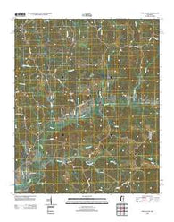 Pine Valley Mississippi Historical topographic map, 1:24000 scale, 7.5 X 7.5 Minute, Year 2012