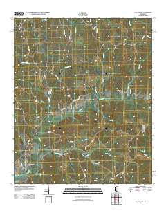 Pine Valley Mississippi Historical topographic map, 1:24000 scale, 7.5 X 7.5 Minute, Year 2012