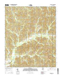 Pine Valley Mississippi Current topographic map, 1:24000 scale, 7.5 X 7.5 Minute, Year 2015