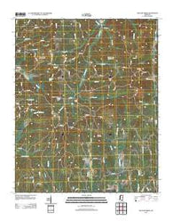 Pleasant Ridge Mississippi Historical topographic map, 1:24000 scale, 7.5 X 7.5 Minute, Year 2012