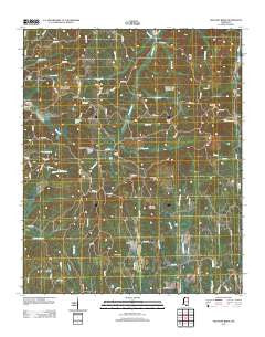 Pleasant Ridge Mississippi Historical topographic map, 1:24000 scale, 7.5 X 7.5 Minute, Year 2012