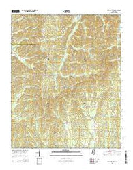Pleasant Ridge Mississippi Current topographic map, 1:24000 scale, 7.5 X 7.5 Minute, Year 2015