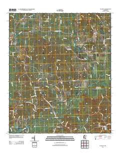 Puckett Mississippi Historical topographic map, 1:24000 scale, 7.5 X 7.5 Minute, Year 2012