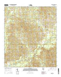 Puckett Mississippi Current topographic map, 1:24000 scale, 7.5 X 7.5 Minute, Year 2015