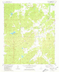 Puskus Lake Mississippi Historical topographic map, 1:24000 scale, 7.5 X 7.5 Minute, Year 1980