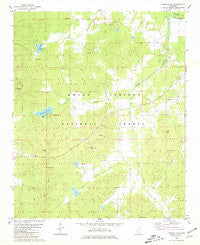 Puskus Lake Mississippi Historical topographic map, 1:24000 scale, 7.5 X 7.5 Minute, Year 1980