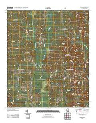 Raleigh Mississippi Historical topographic map, 1:24000 scale, 7.5 X 7.5 Minute, Year 2012