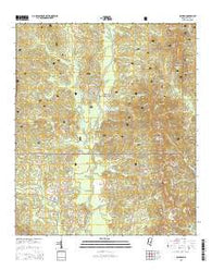 Raleigh Mississippi Current topographic map, 1:24000 scale, 7.5 X 7.5 Minute, Year 2015